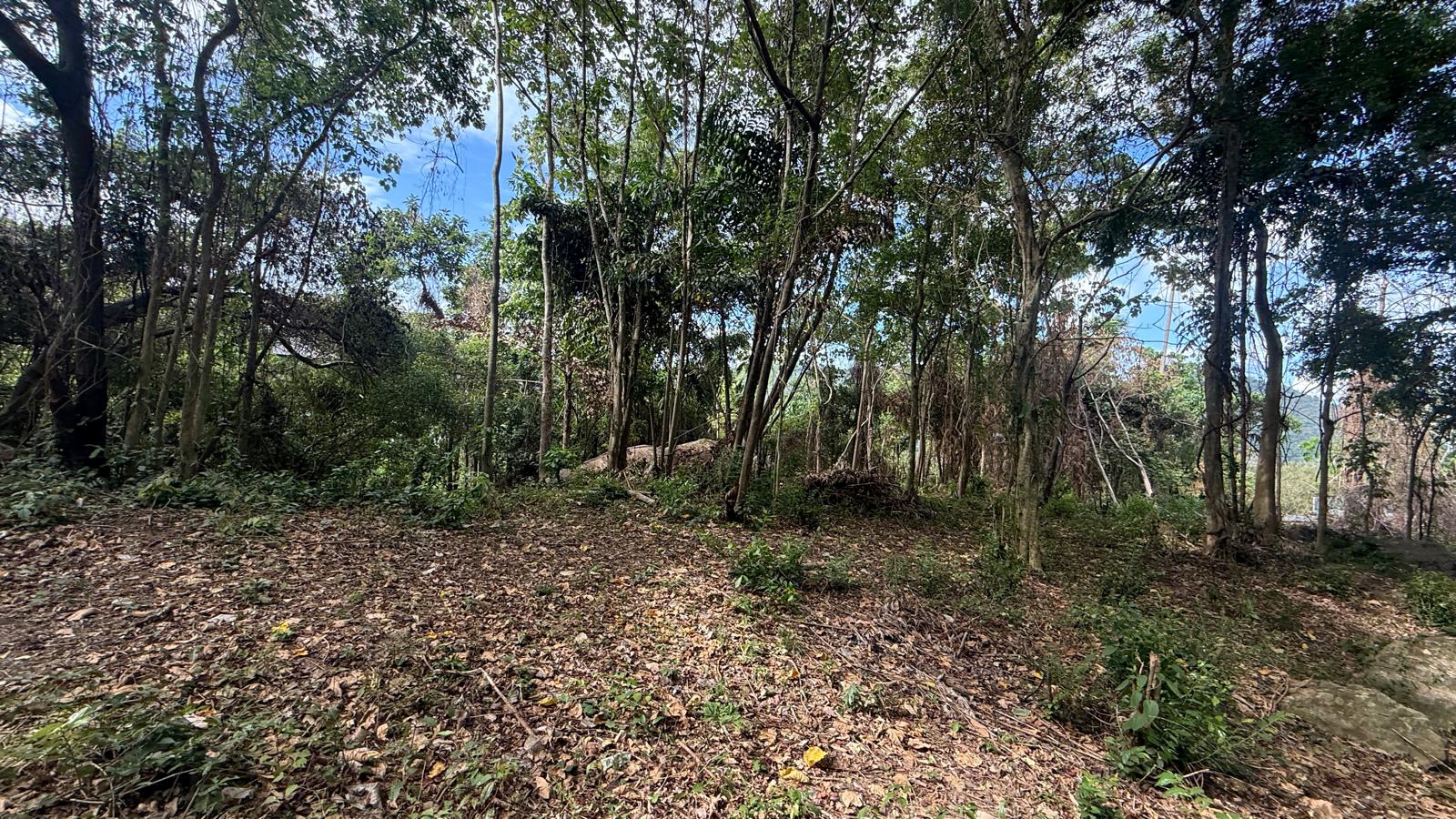 Koh Samui Land In Lamai For Sale