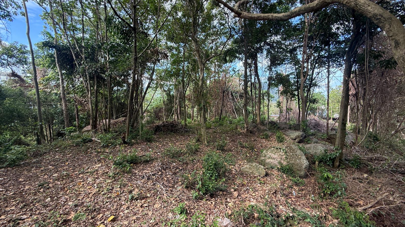 Koh Samui Land In Lamai For Sale