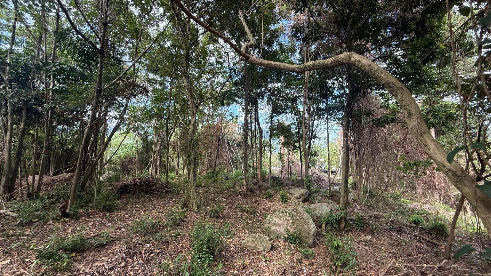 Koh Samui Land In Lamai For Sale