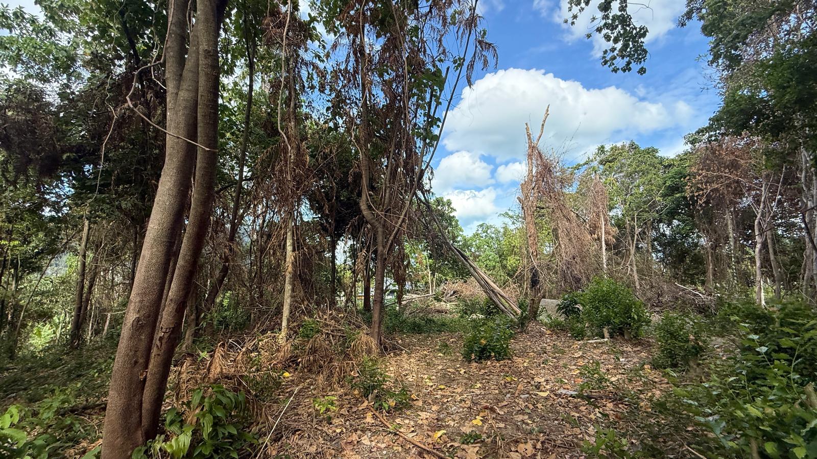 Koh Samui Land In Lamai For Sale