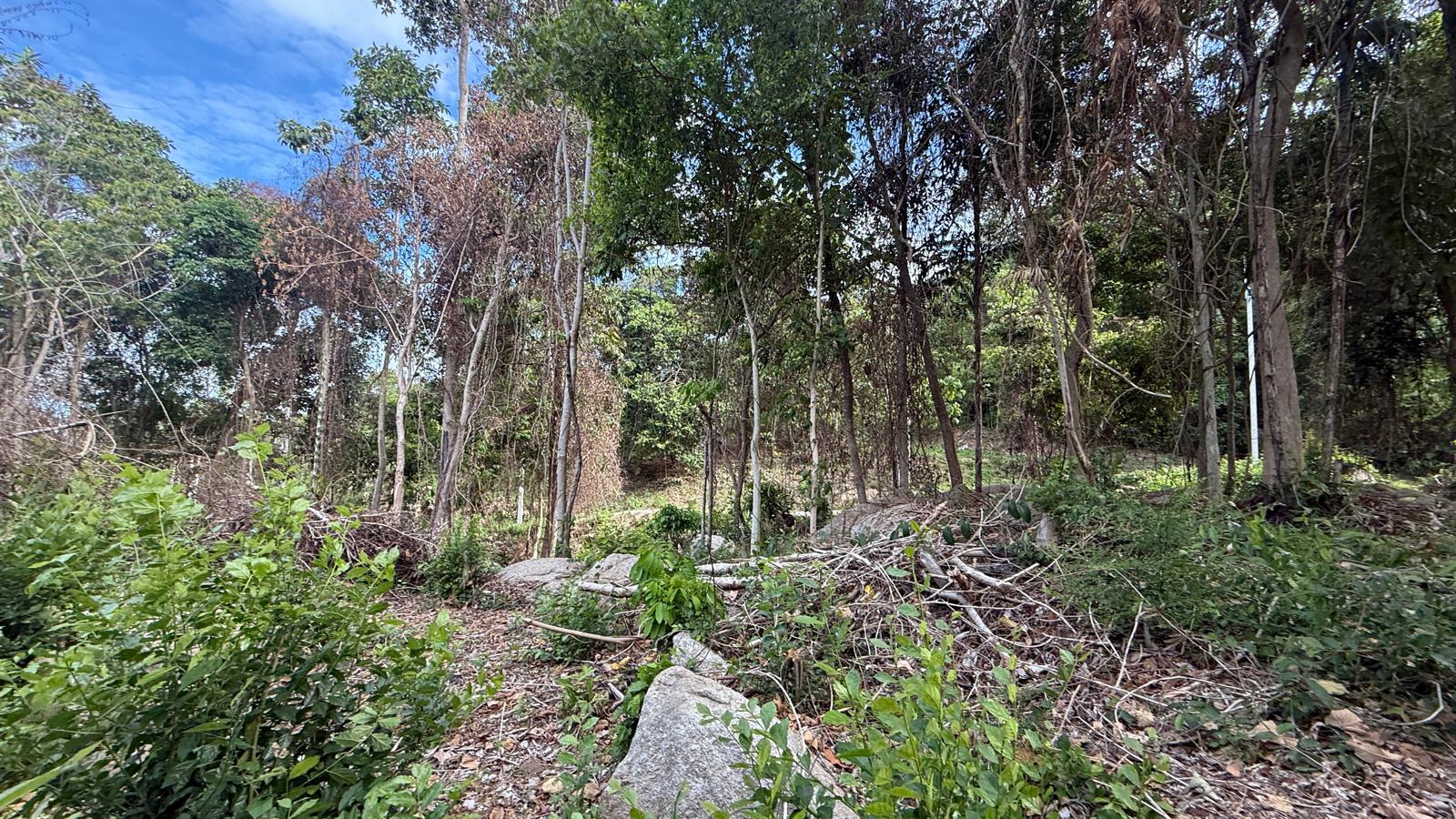 Koh Samui Land In Lamai For Sale