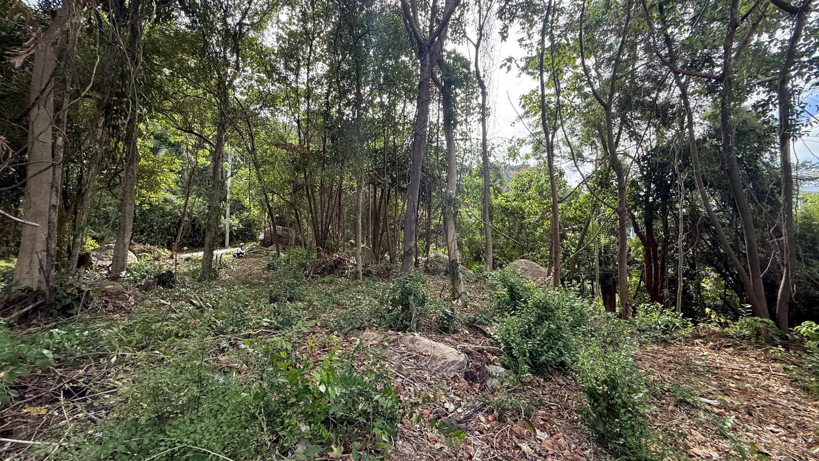 Koh Samui Land In Lamai For Sale