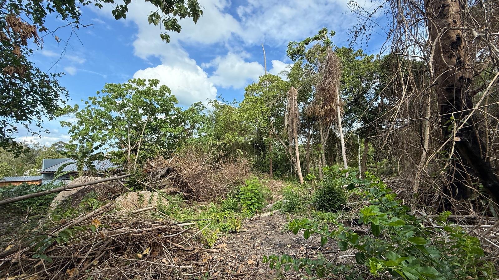 Koh Samui Land In Lamai For Sale