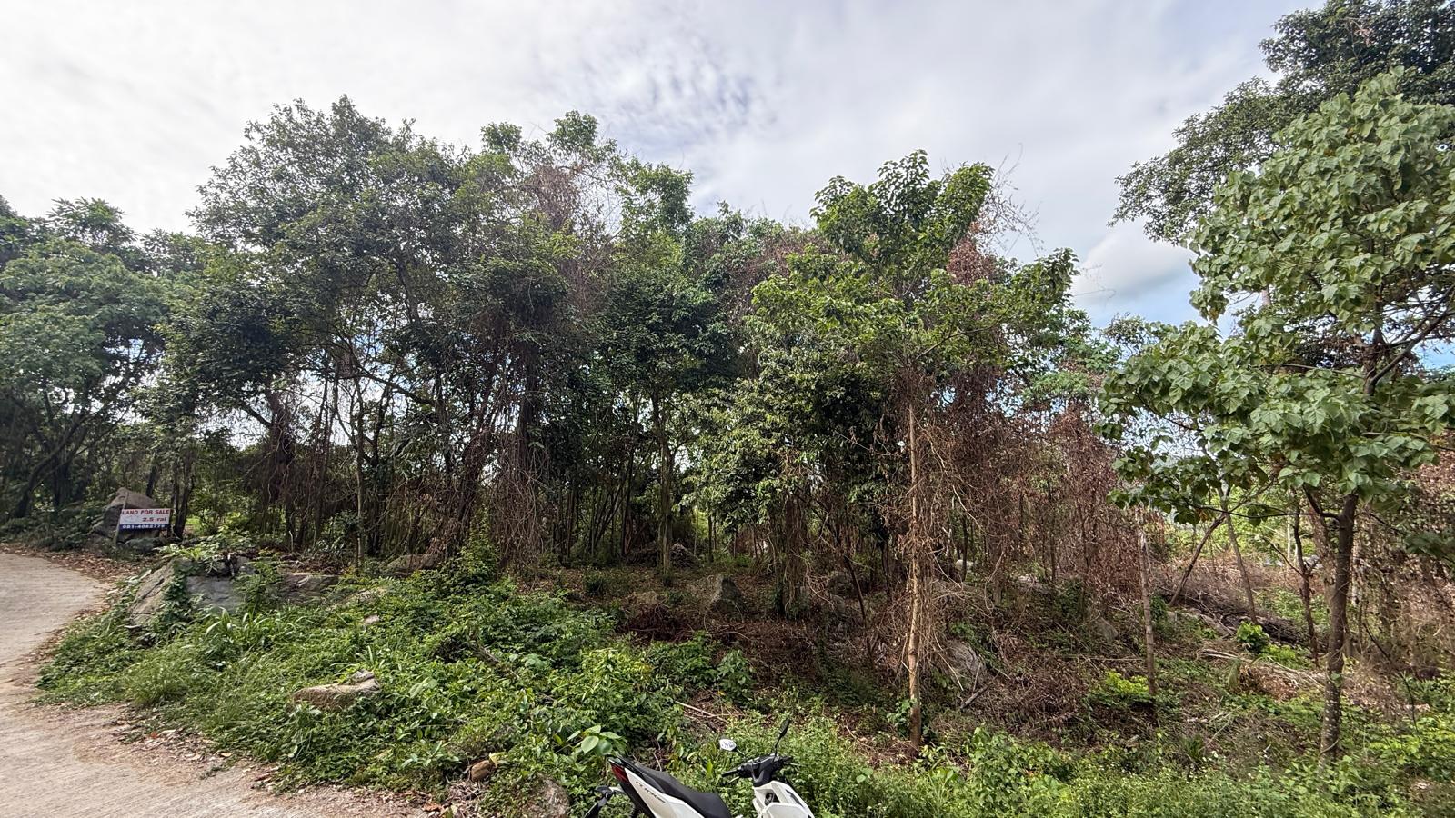 Koh Samui Land In Lamai For Sale