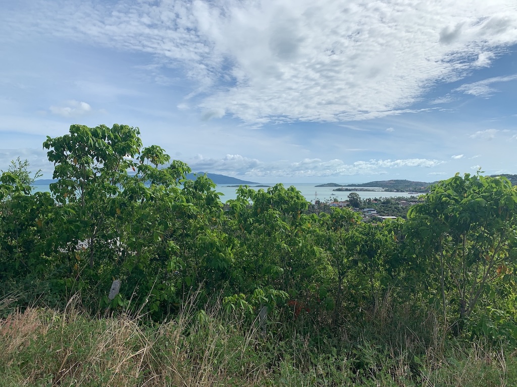 Koh Samui Sea View Bangrak Land