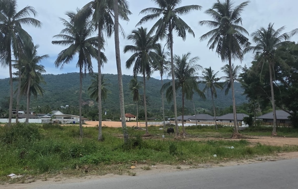 Lamai One Bedroom Villas For Sale Land