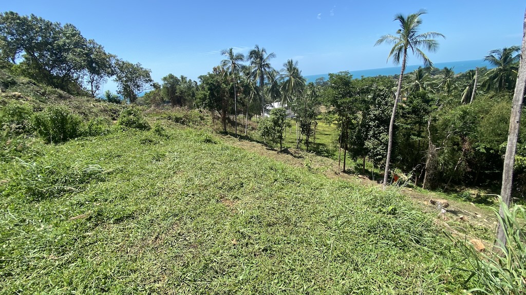 Sea View Land For Sale In Lamai Koh Samui