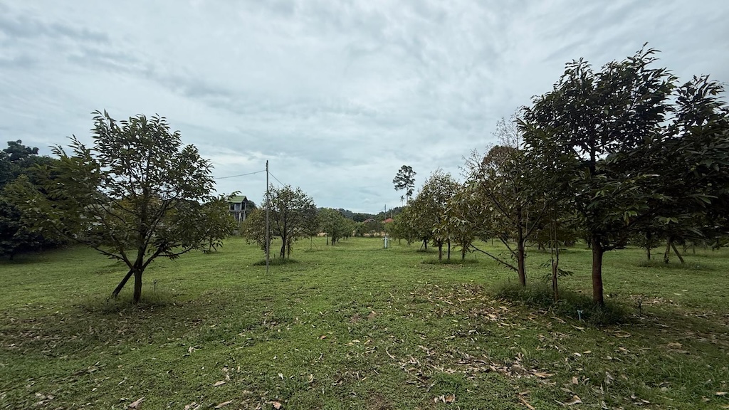 Ko Samui Land Plot In Bang Por