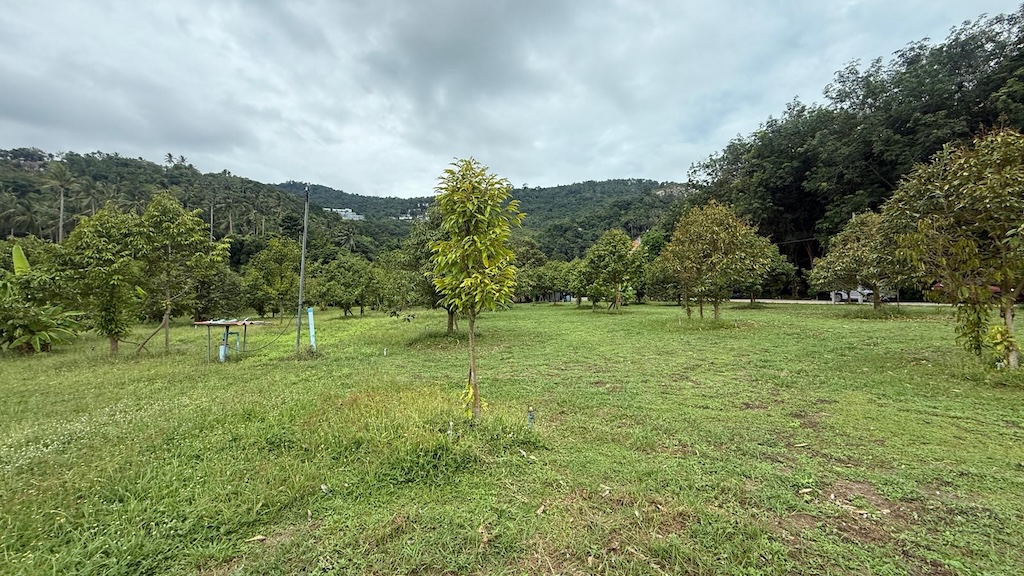 Ko Samui Land Plot In Bang Por