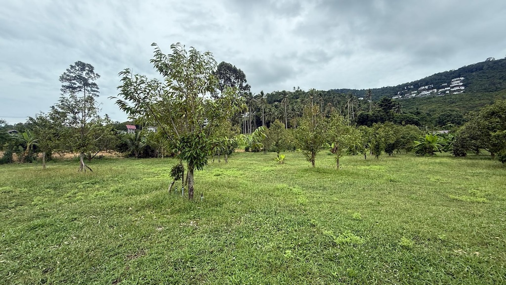 Ko Samui Land Plot In Bang Por