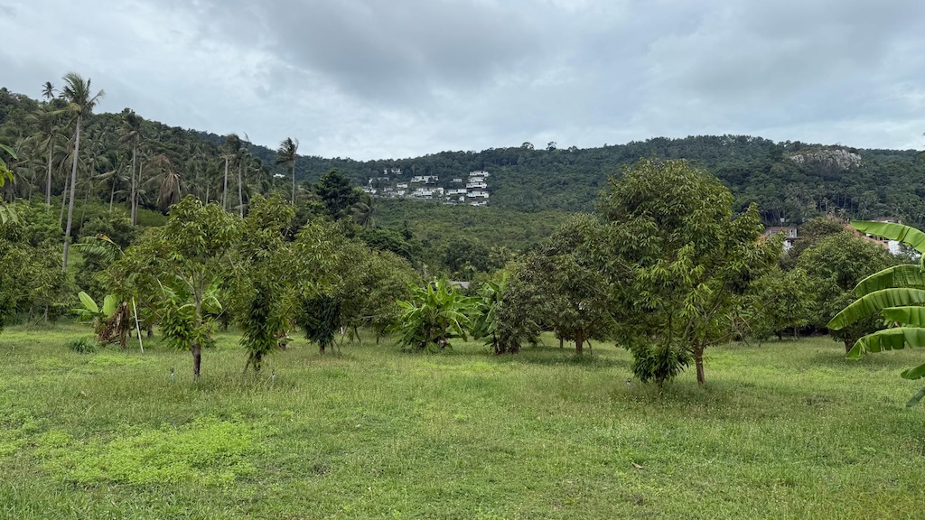 Ko Samui Land Plot In Bang Por