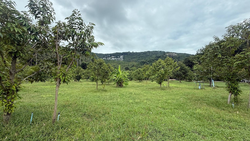 Ko Samui Land Plot In Bang Por