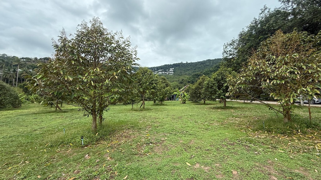 Koh Samui 800 Sqm Land For Sale In Bang Po Koh Samui 800 Sqm Land For Sale in Bang Po