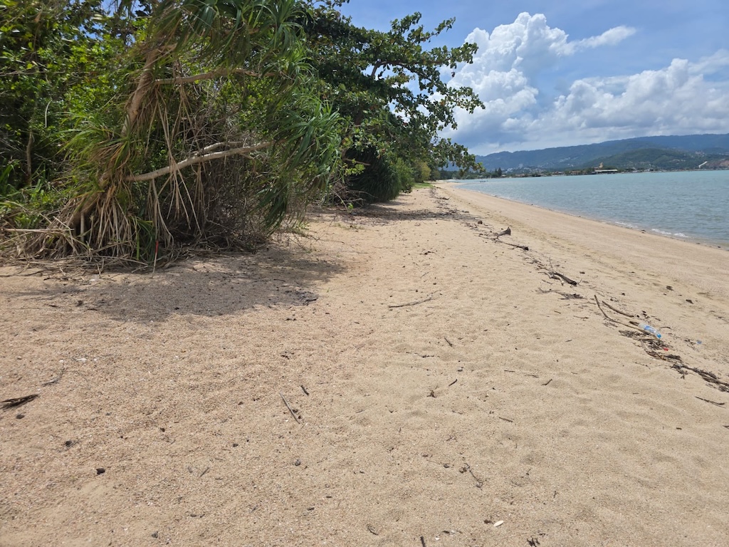 Koh Samui Beachfront Land For LEase