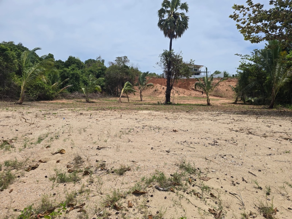 Koh Samui Beachfront Land For Lease