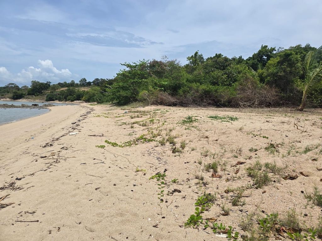 Koh Samui Beachfront Land For Lease