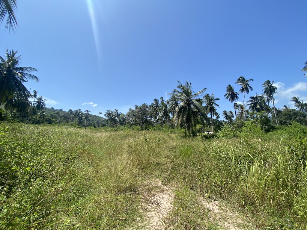 Koh Samui Land For Sale In Maenam Koh Samui Land For Sale In Maenam