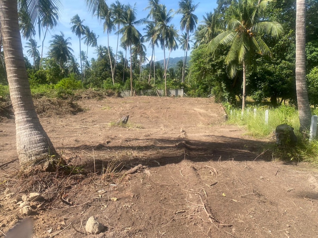 Koh Samui Land For Sale In Maenam Koh Samui Land For Sale In Maenam
