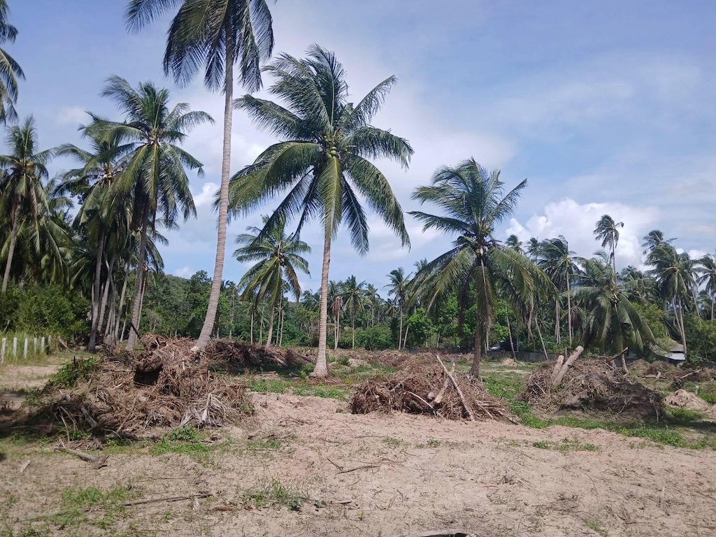 Koh Samui Land For Sale In Maenam Koh Samui Land For Sale in Maenam