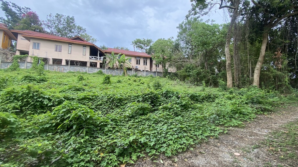 Koh Samui Land Plot For Sale In Lamai Koh Samui Land Plot For Sale In Lamai