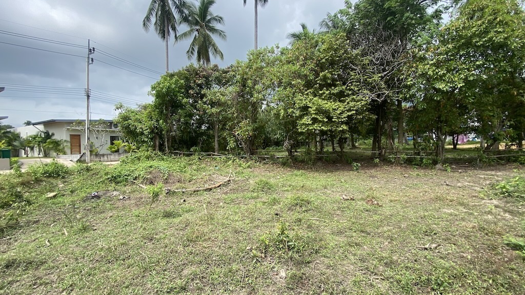 Koh Samui Land For Sale In Hua Thanon