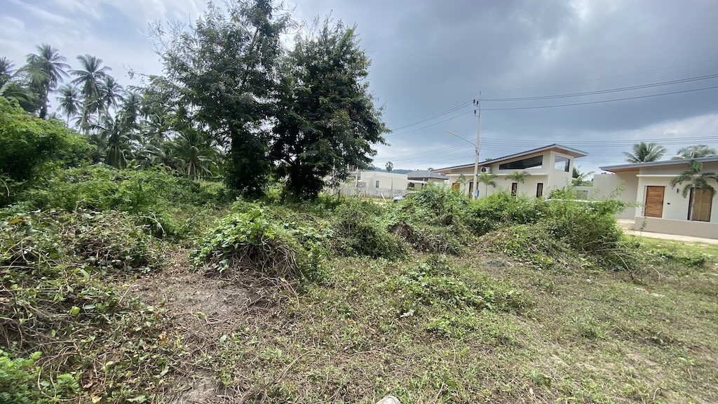 Koh Samui Land For Sale In Hua Thanon