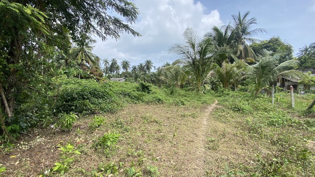 Koh Samui Land For Sale In Hua Thanon
