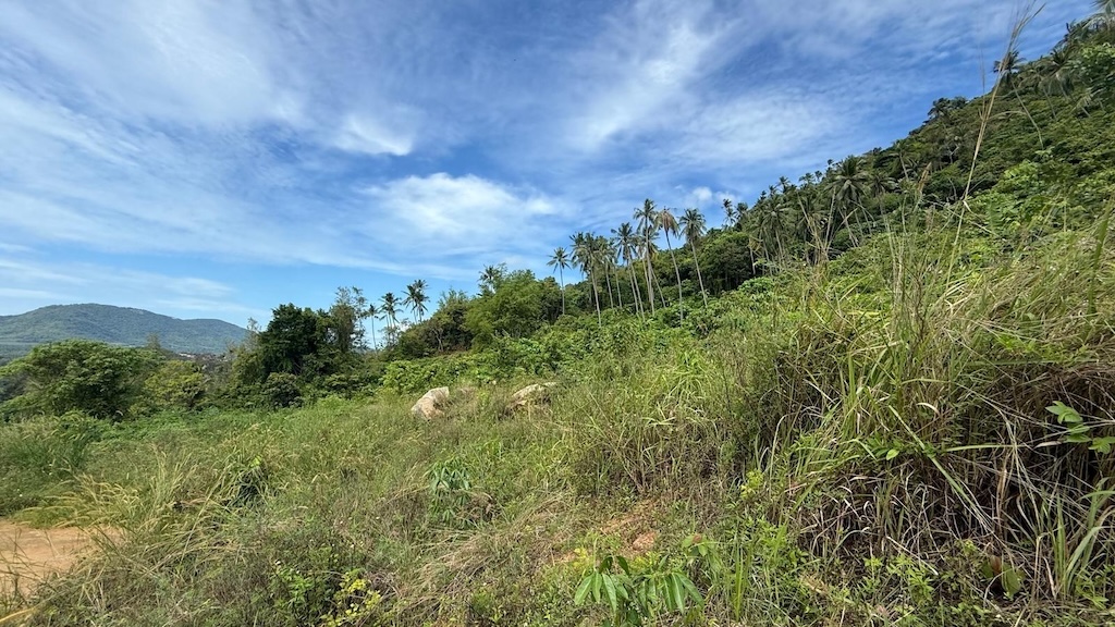 Koh Samui Sea View Land For Sale In Lamai