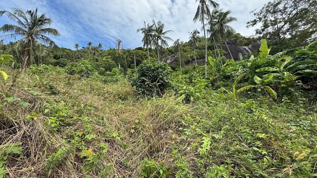 Koh Samui Sea view Land For Sale in Lamai