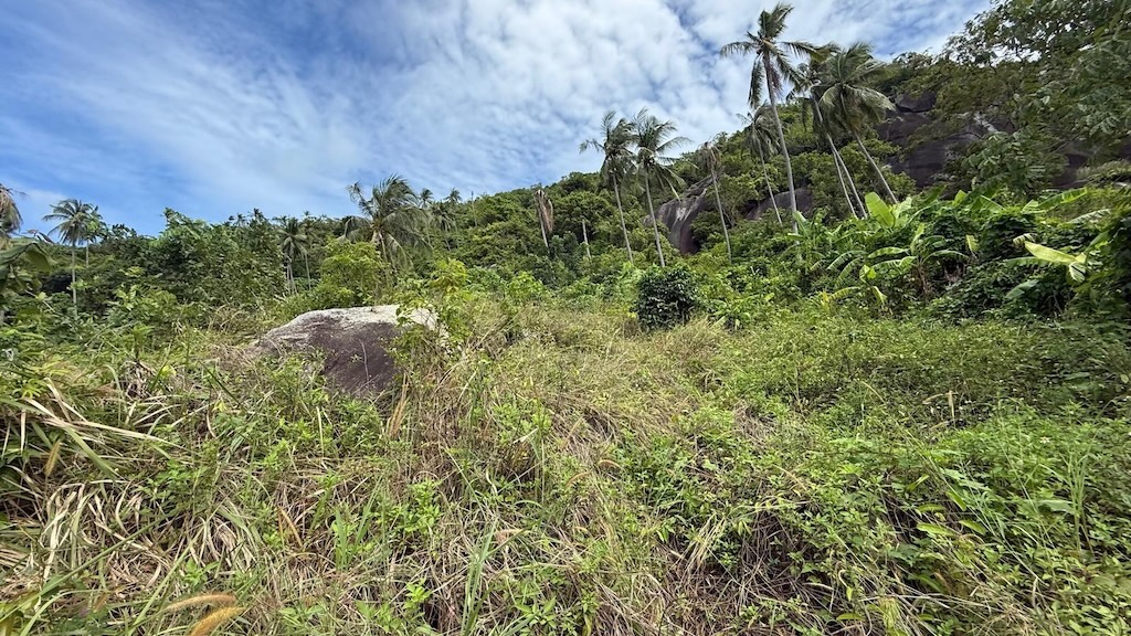 Koh Samui Sea View Land For Sale In lamai