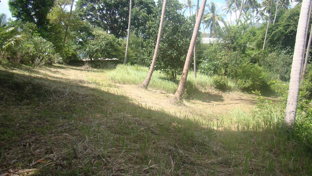 Koh Samui Sea View Land In Taling Ngam Contour