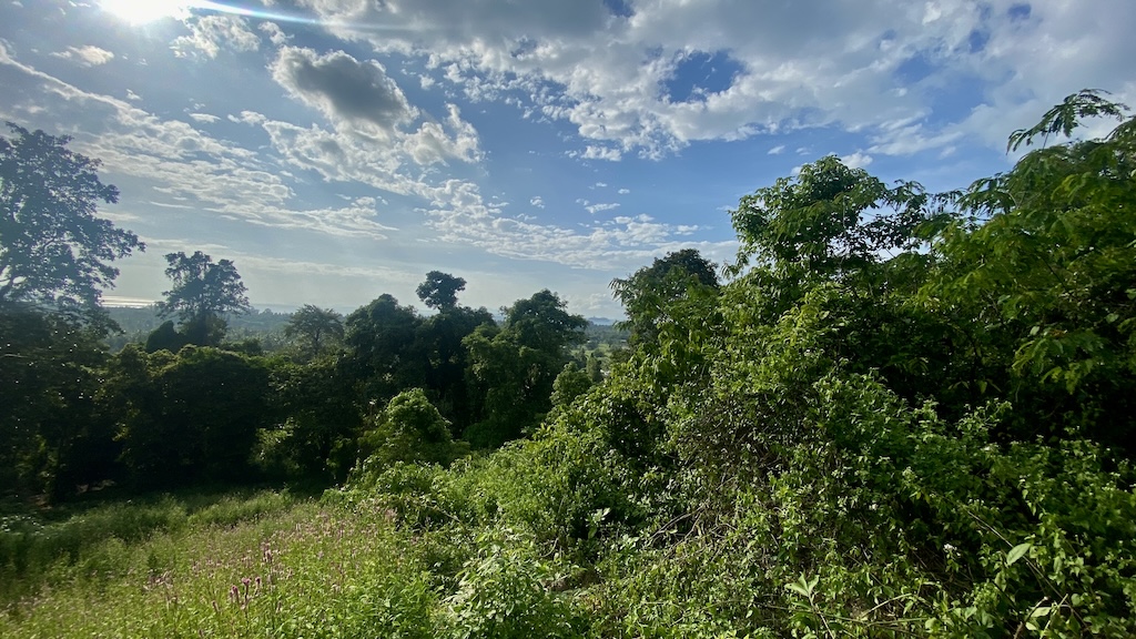 Koh Samui Land For Sale in Angthong