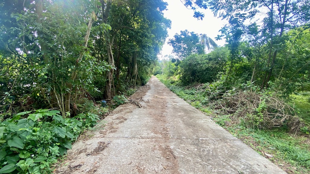 Koh Samui Land For Sale in Angthong
