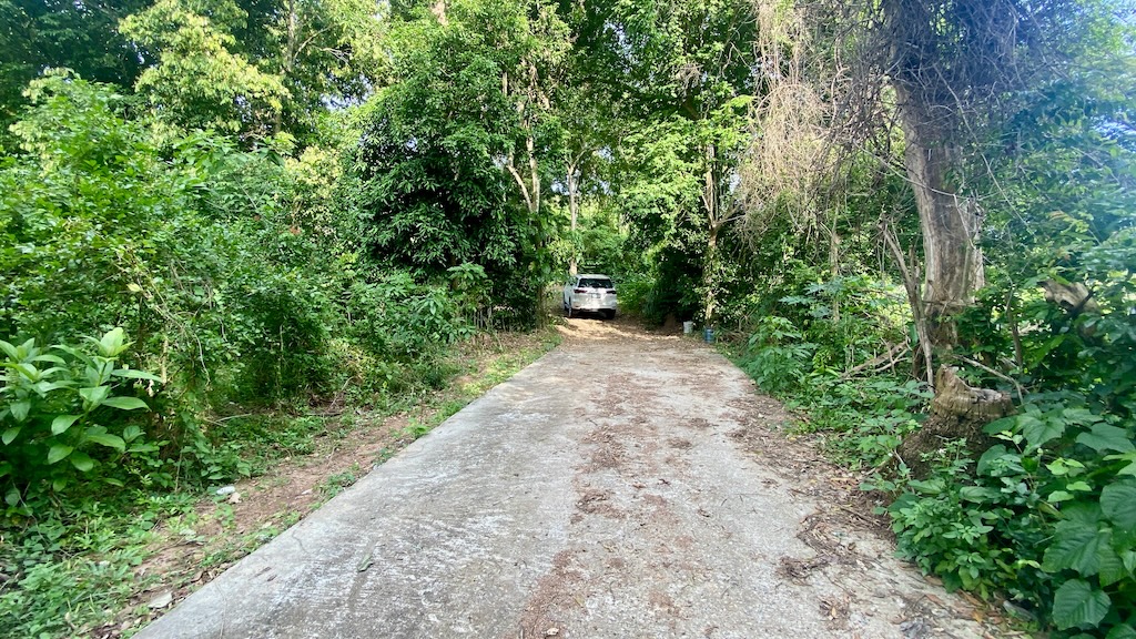 Koh Samui Land For Sale In Angthong