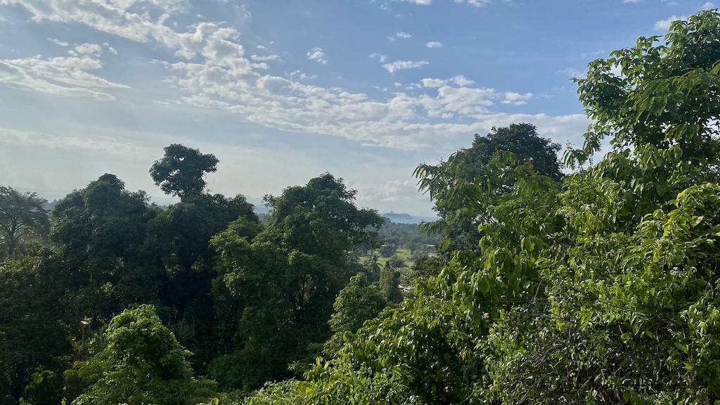 Koh Samui Land For Sale In Angthong