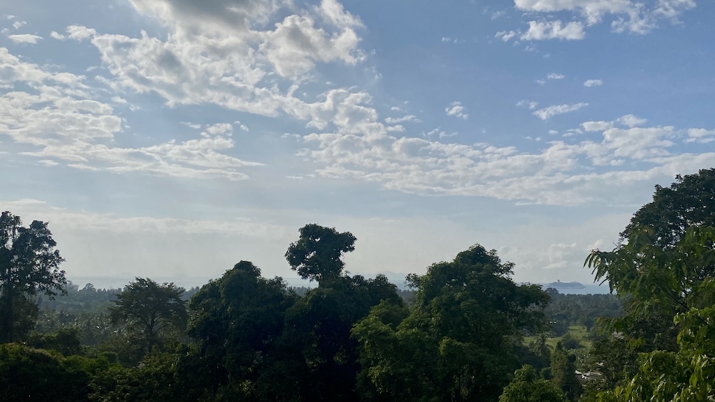 Koh Samui Land For Sale in Angthong