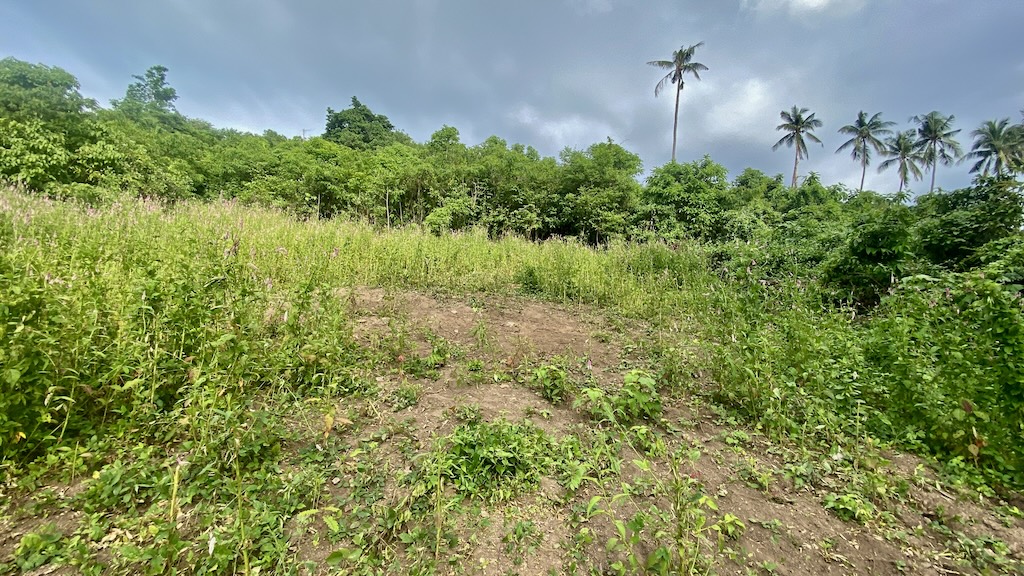 Koh Samui Land For Sale In Angthong