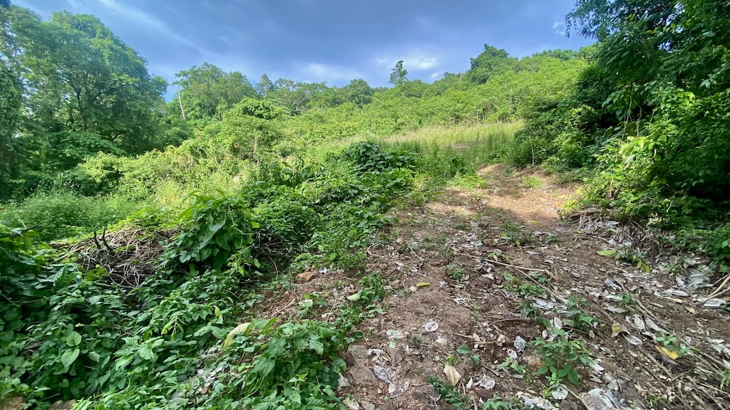 Koh Samui Land For Sale In Angthong