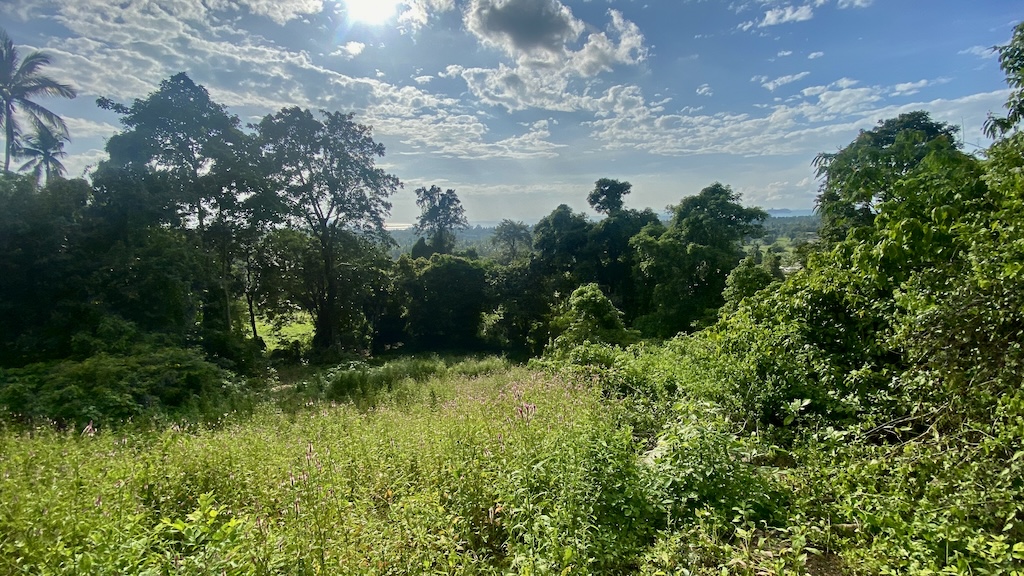 Koh Samui Land For Sale In Angthong