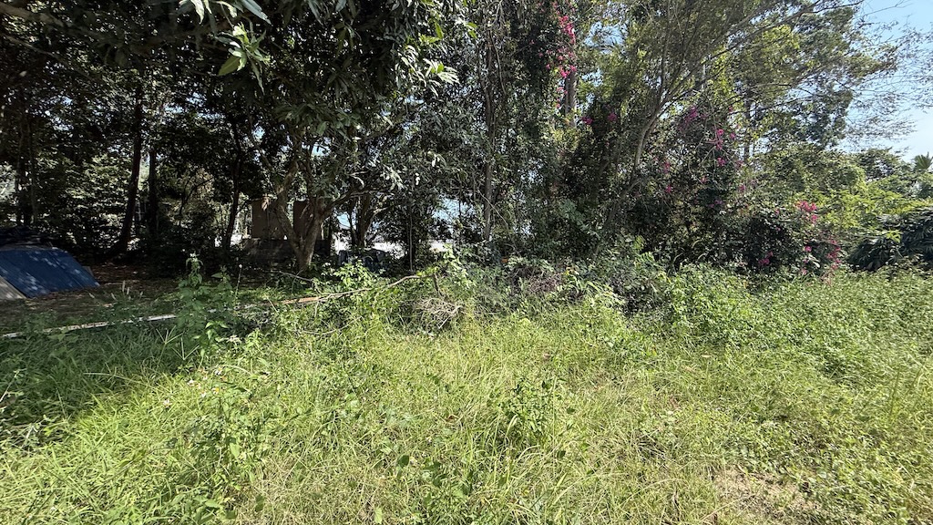 Koh Samui Development Land In Lamai