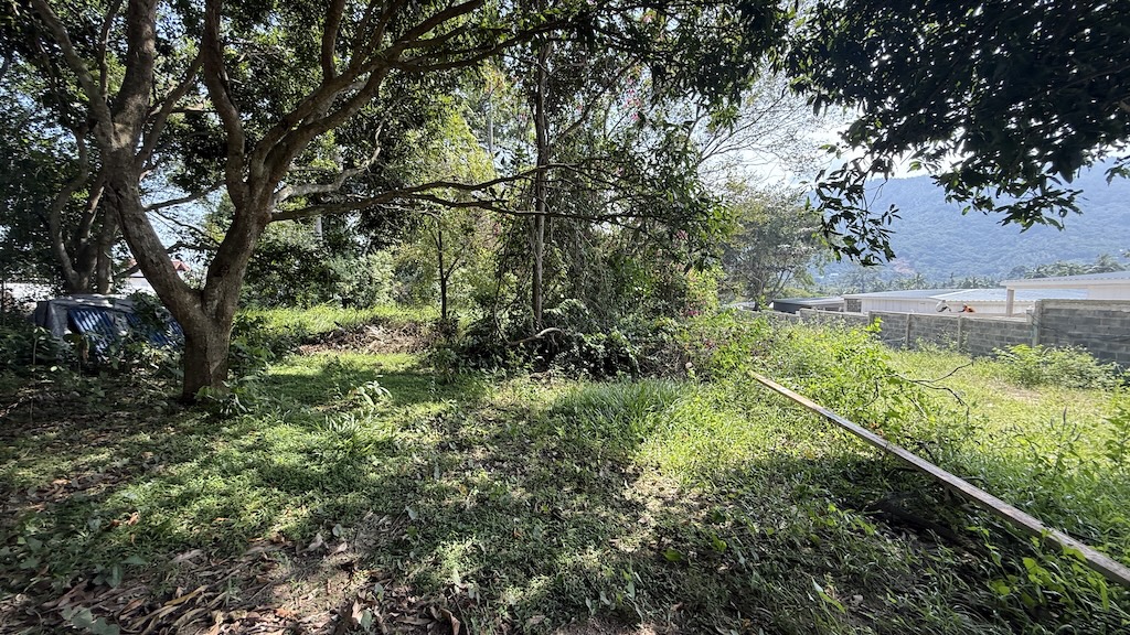 Koh Samui Development Land In Lamai