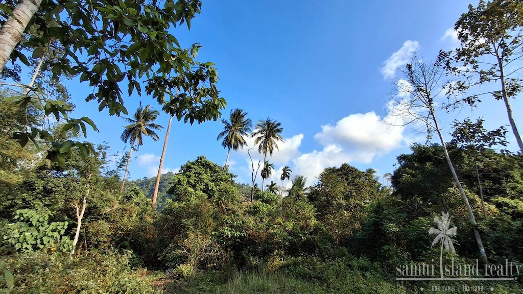 Koh Samui Land Plots For Sale