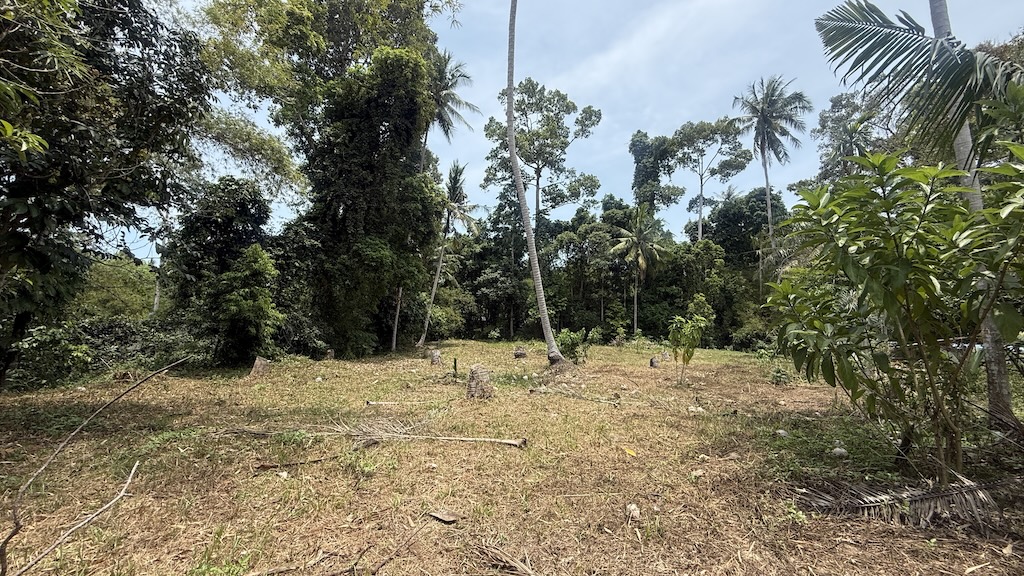 Maenam Development Land