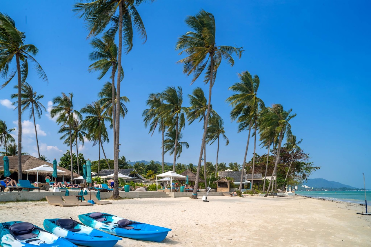 Koh Samui Beach Club For Sale Koh Samui Beach Club For Sale Beachfront
