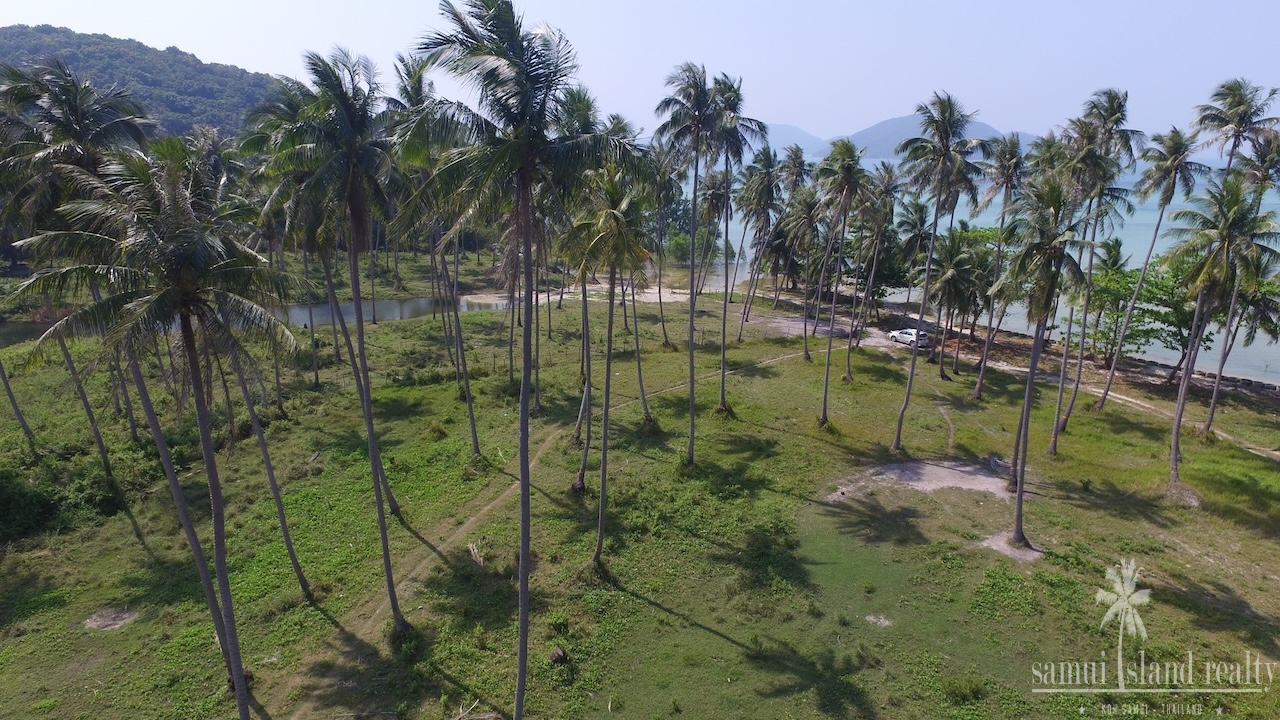 Koh Samui Beach Parcel Koh Samui Beach Parcel Coconut Trees