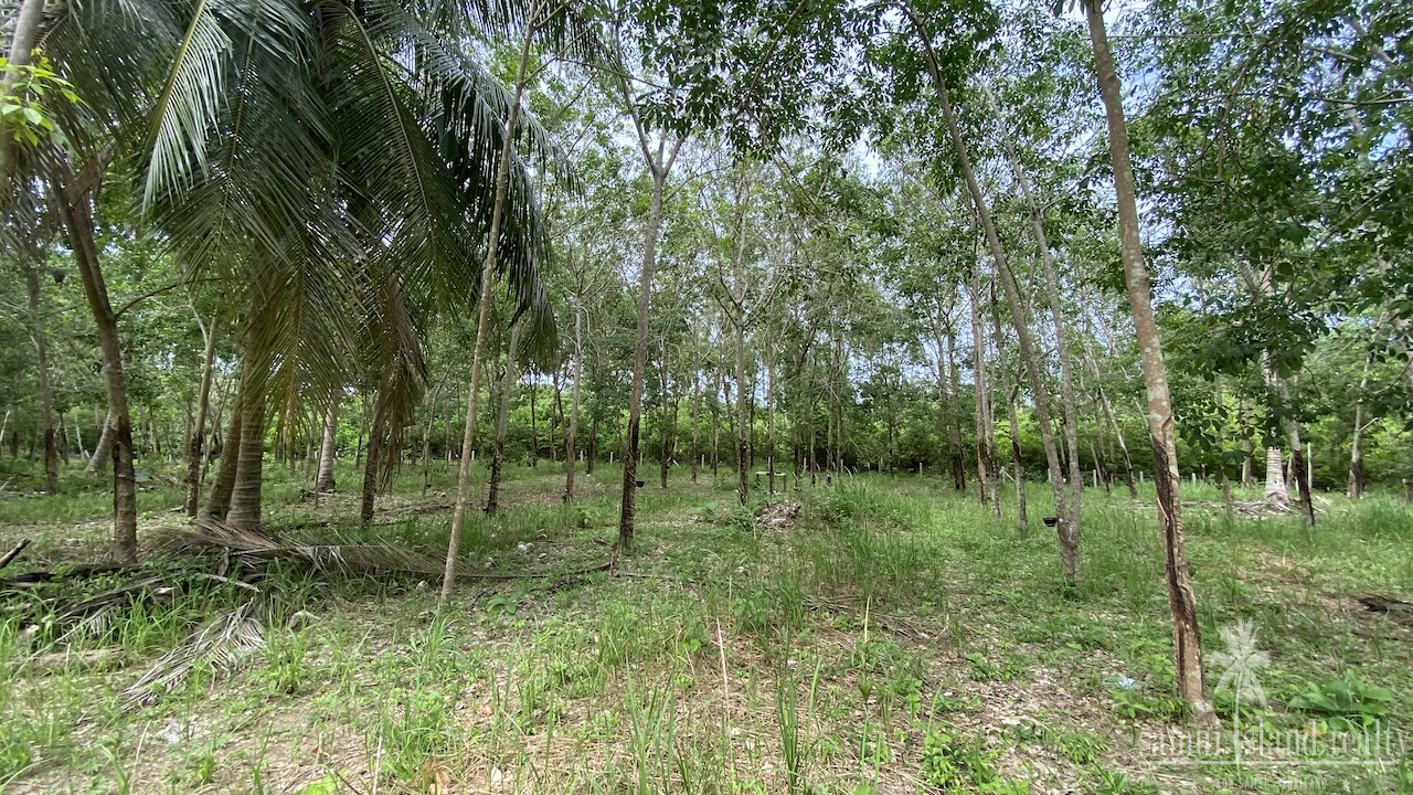 Tong Krut Land Plots For Sale Tong Krut Land Plots For Sale