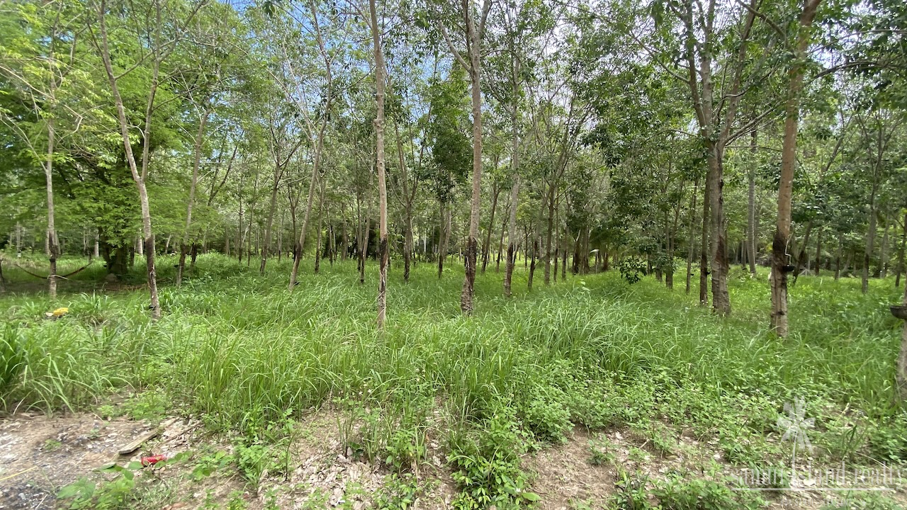 Tong Krut Land Plots For Sale Tong Krut Land Plots For Sale