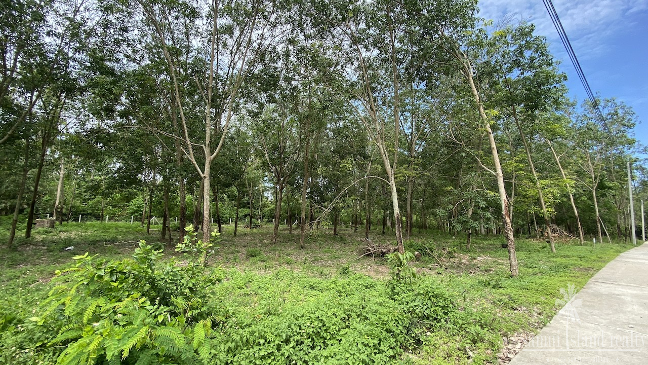 Tong Krut Land Plots For Sale Tong Krut Land Plots For Sale
