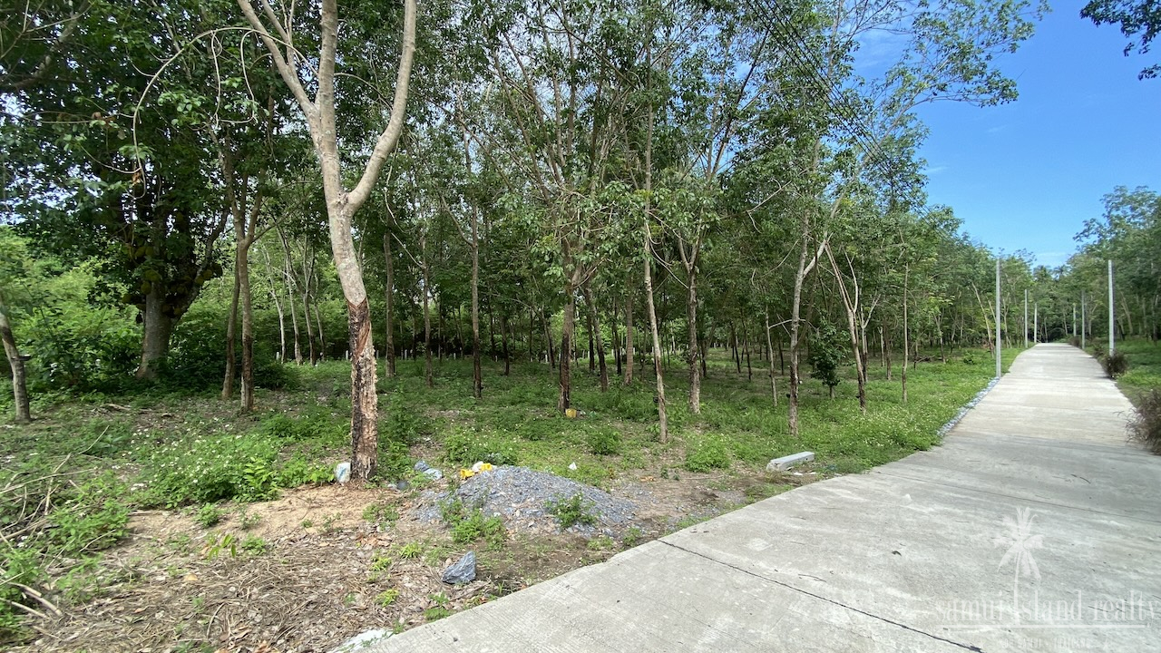 Tong Krut Land Plots For Sale Tong Krut Land Plots For Sale
