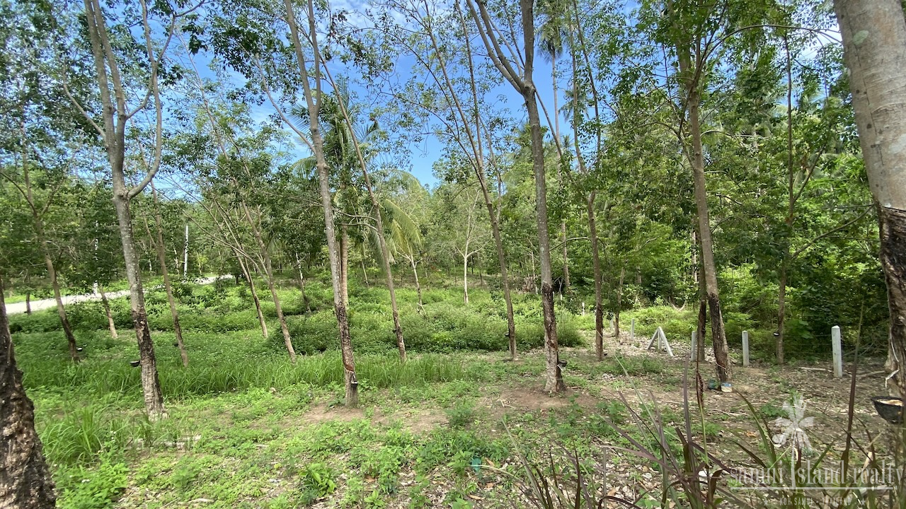 Tong Krut Land Plots For Sale Tong Krut Land Plots For Sale